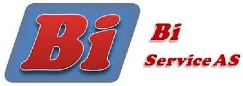 BI Service